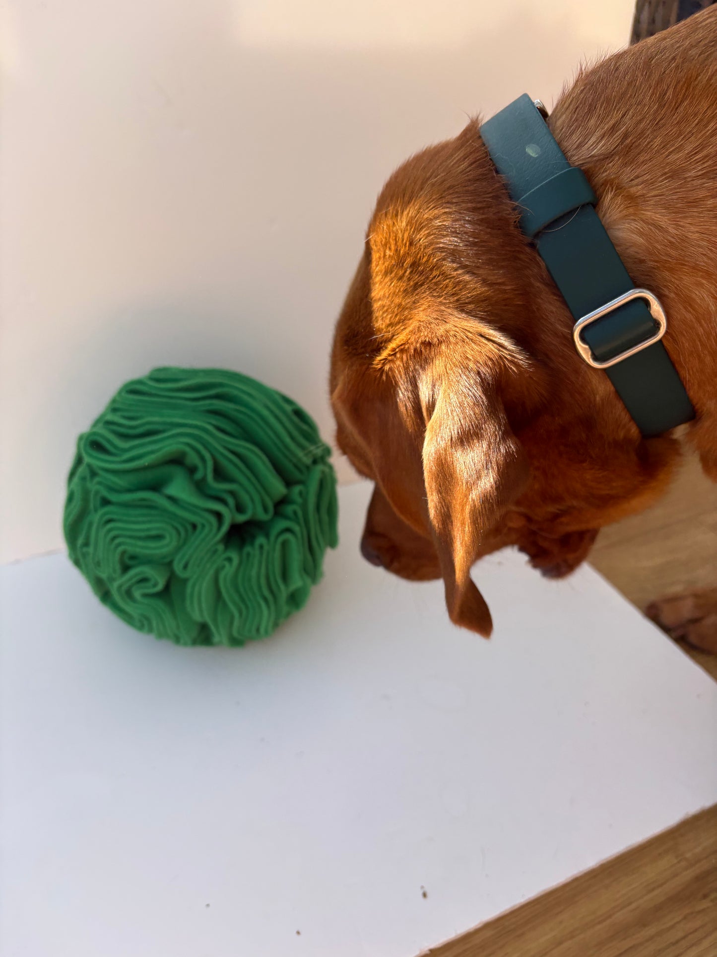 Dog Snuffle Ball 8” Green