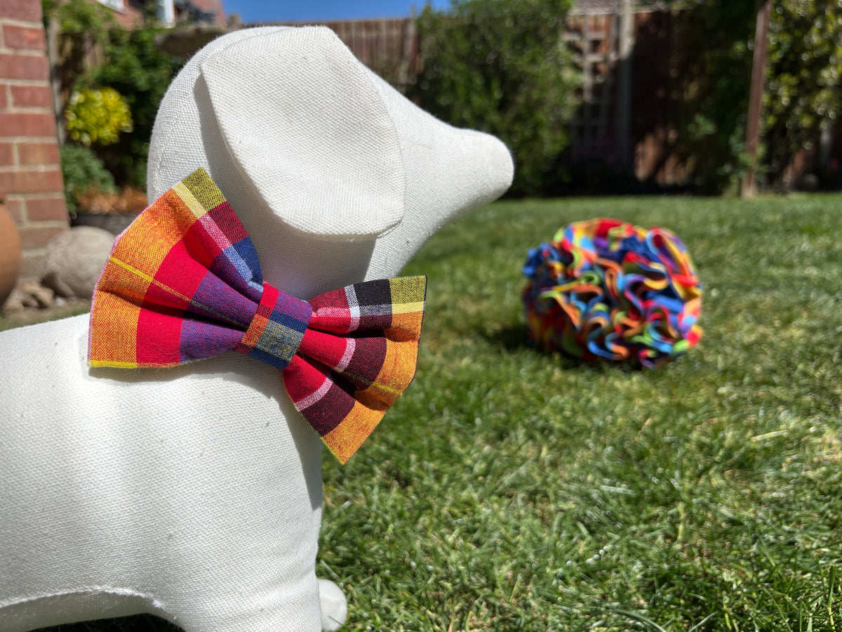 Multi Colour Tartan Bow