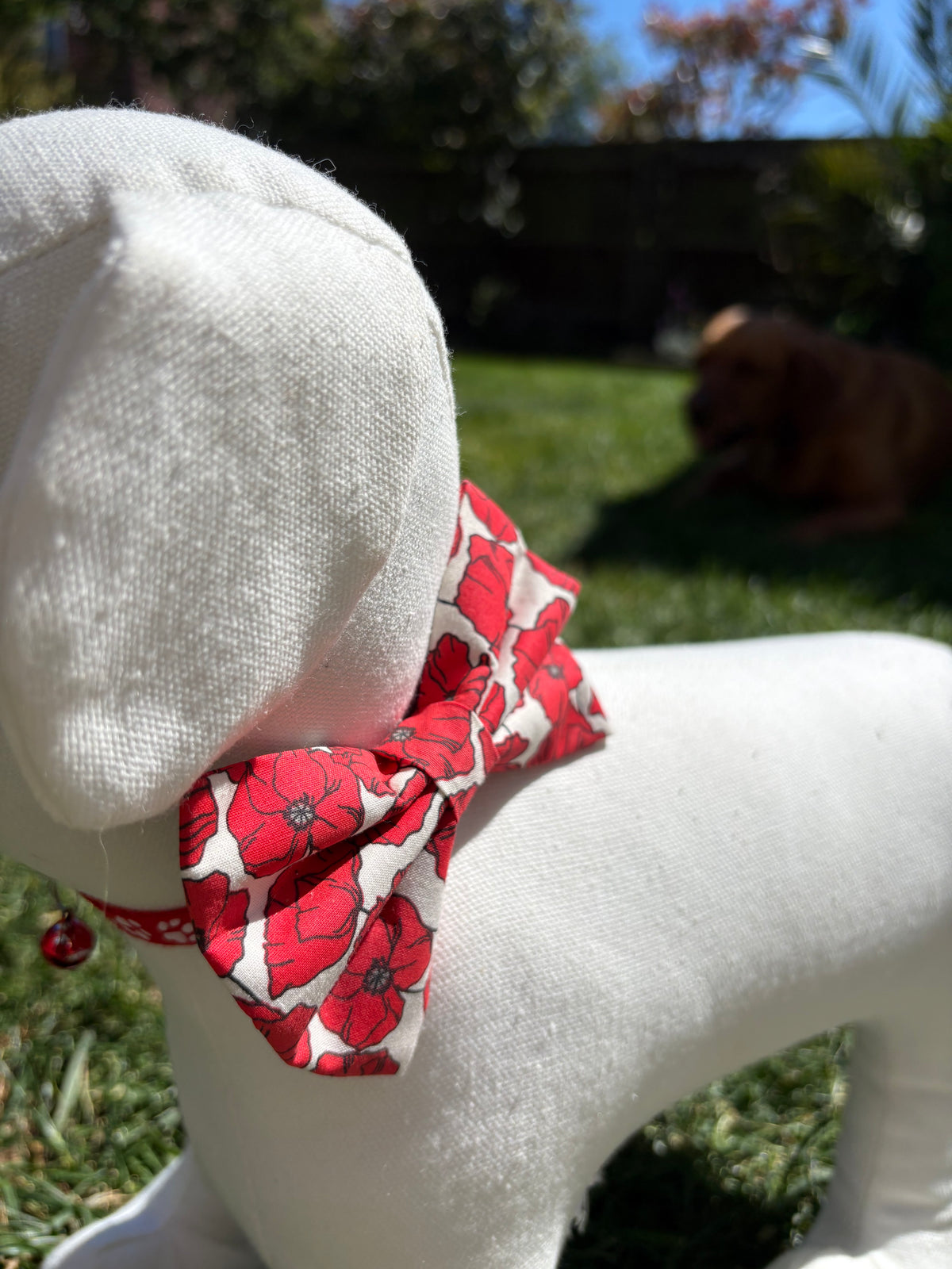 Poppy Bow