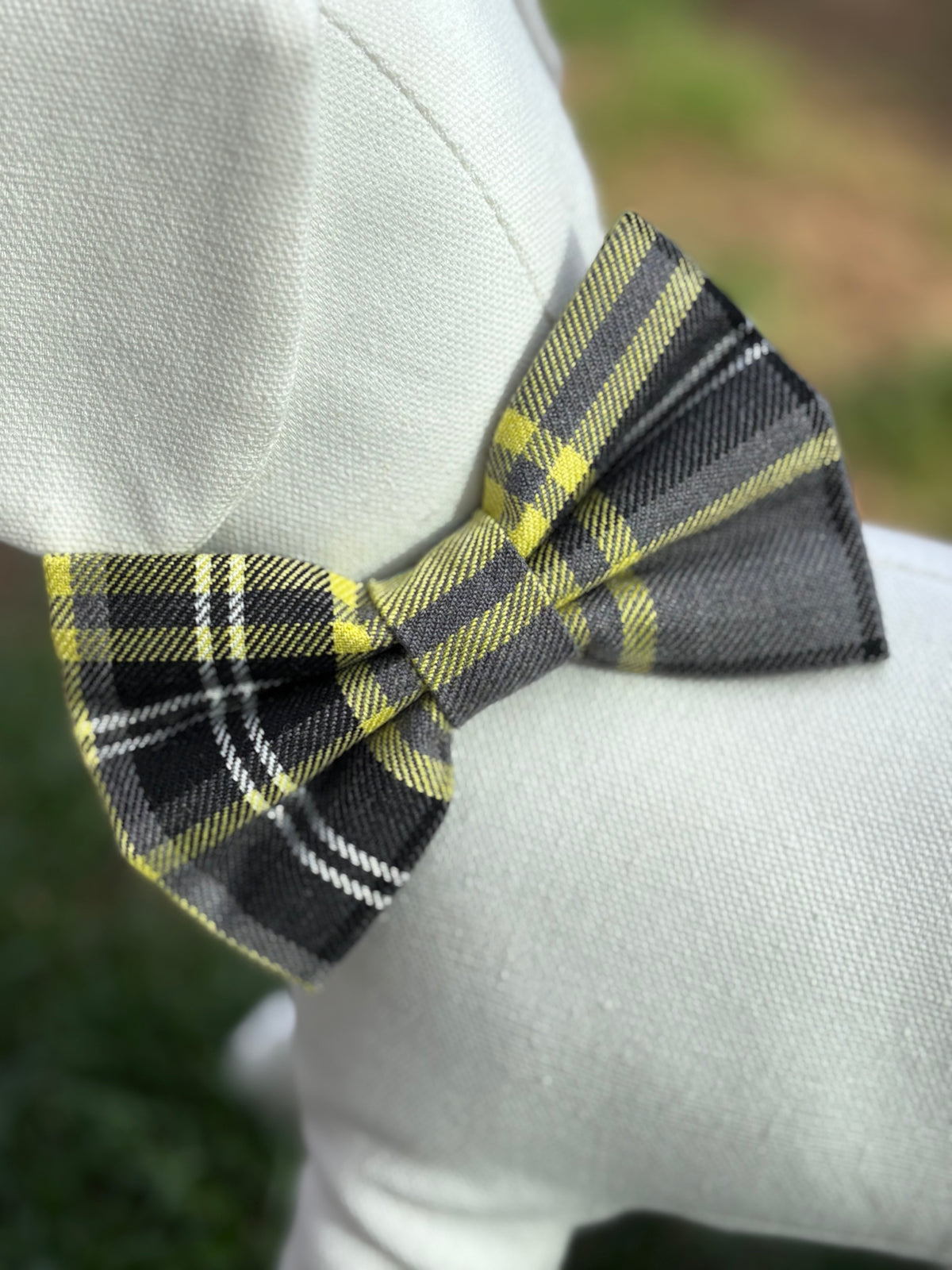 Yellow Tartan