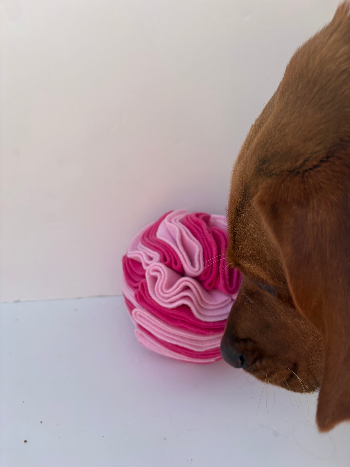 Dog Snuffle Ball 6” Pinks