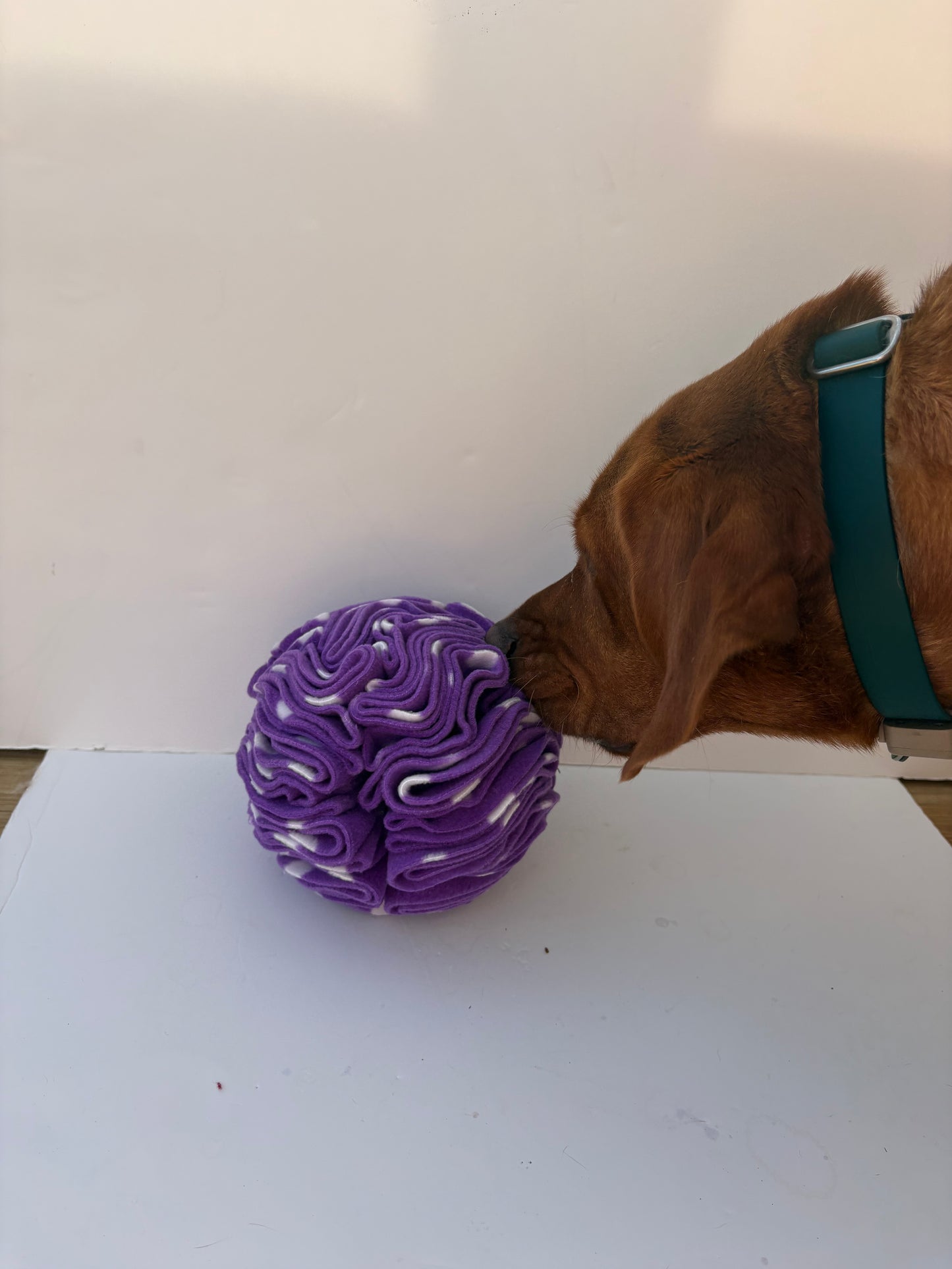 Dog Snuffle Ball 6” Purple spots