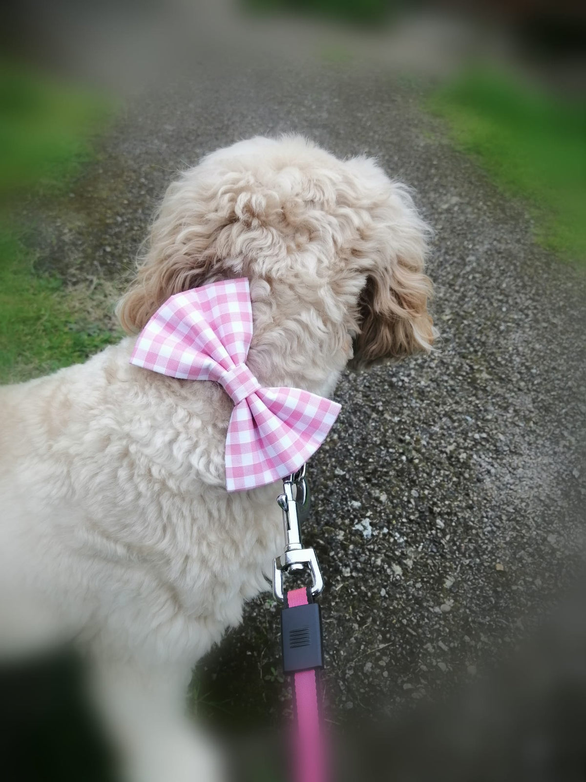 Rodney’s Bowtique Happy Customers ❤️🐾