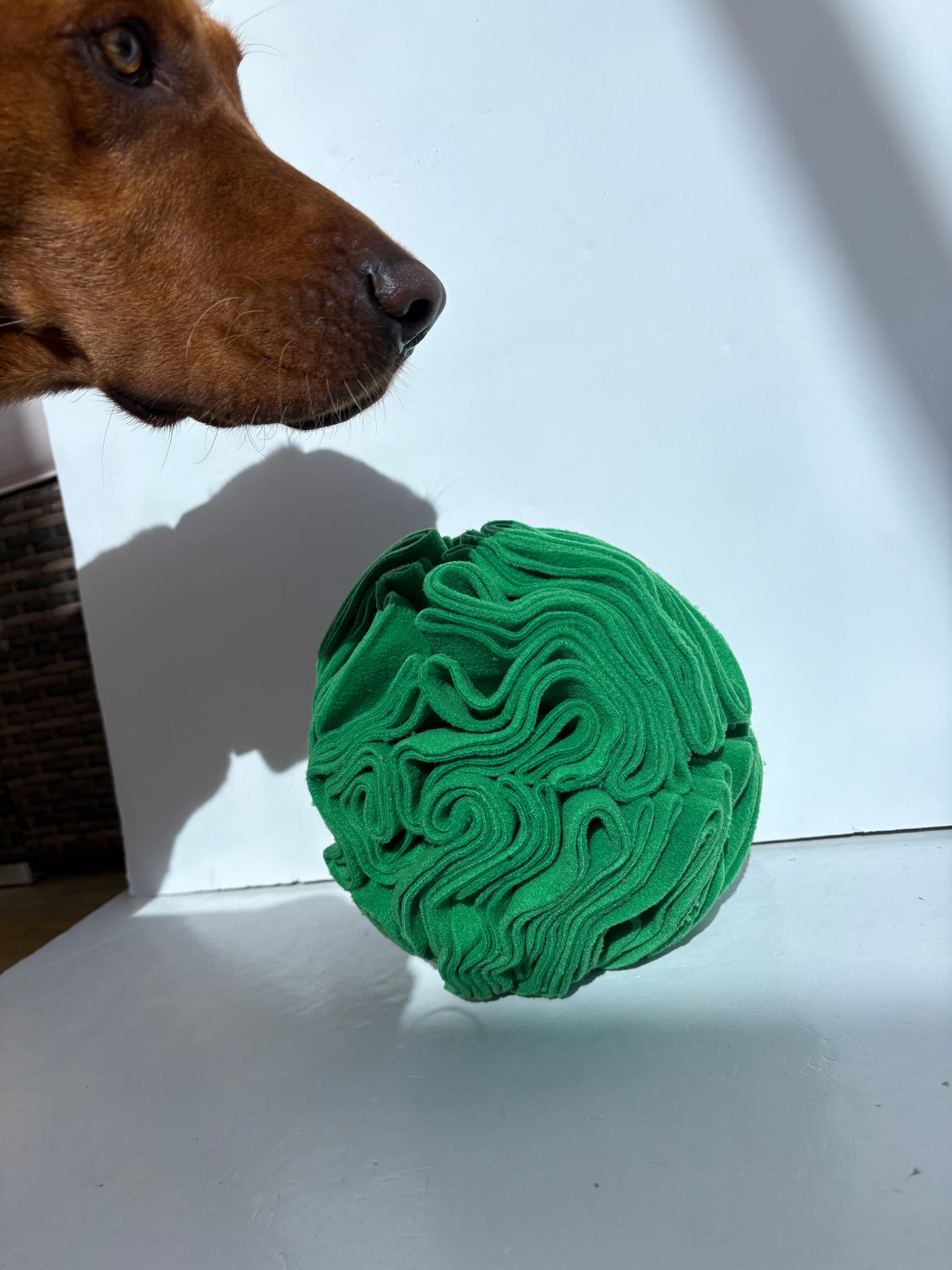 Dog Snuffle Ball 8” Green