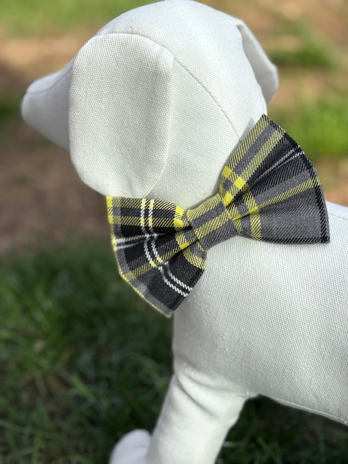 Yellow Tartan