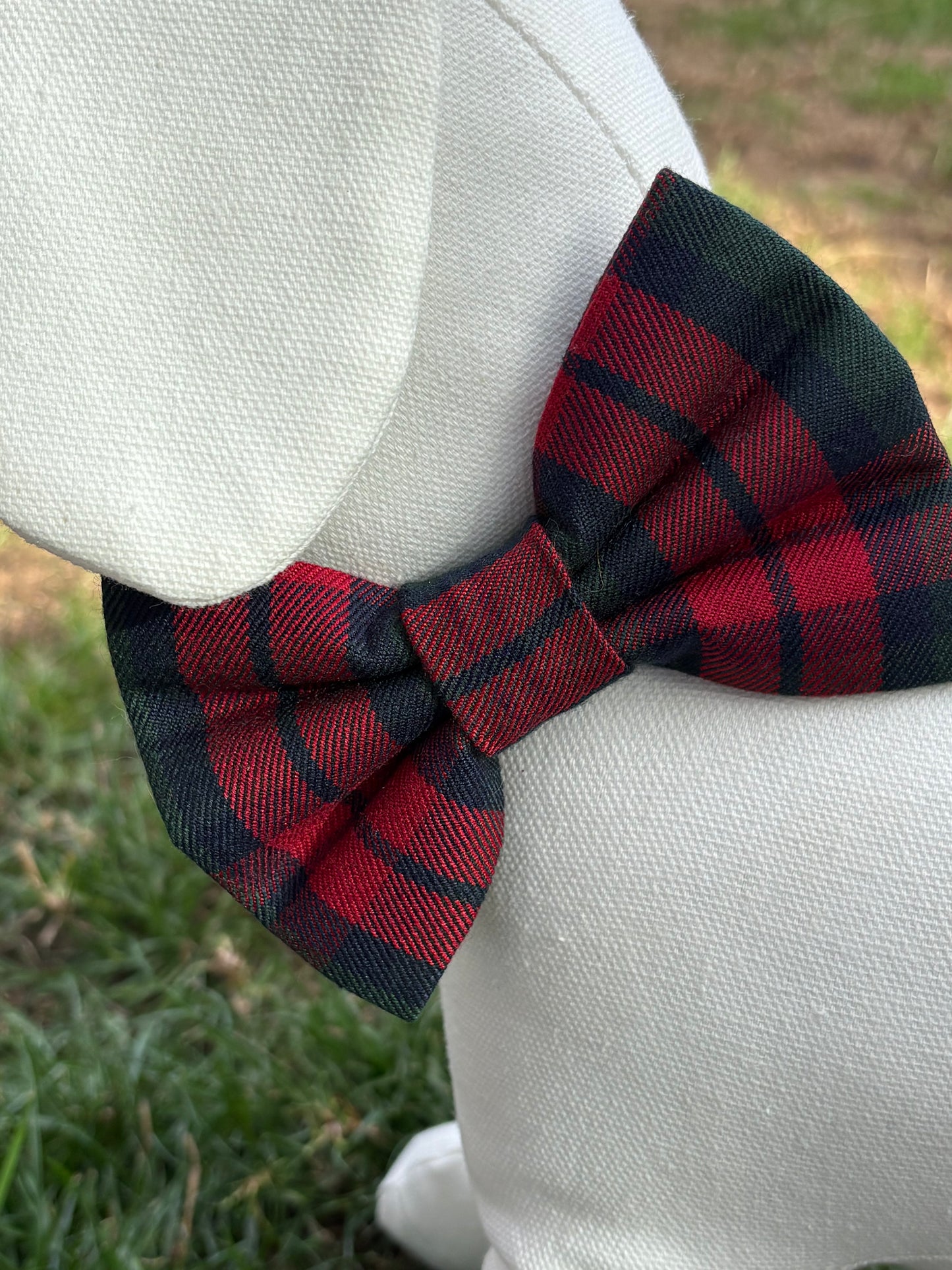 Bottle Green & Red Tartan