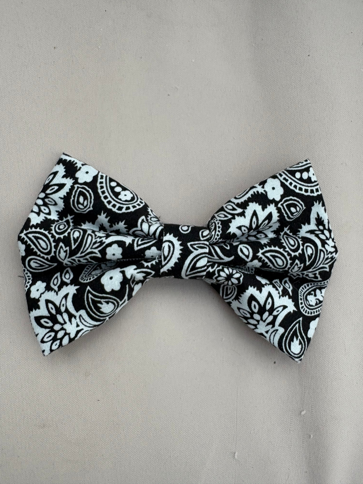 Black & White Paisley Bow