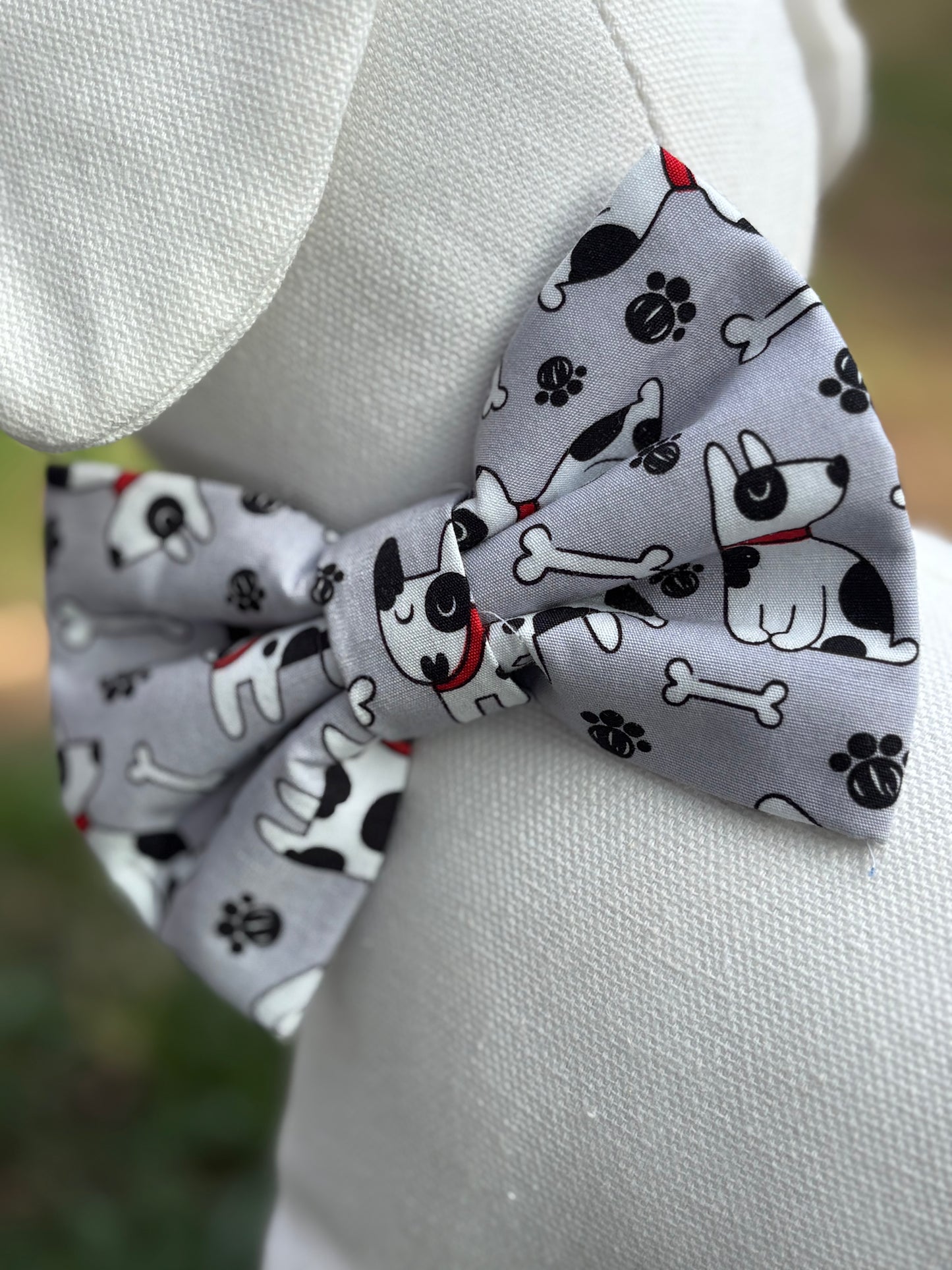 Black & White Dog