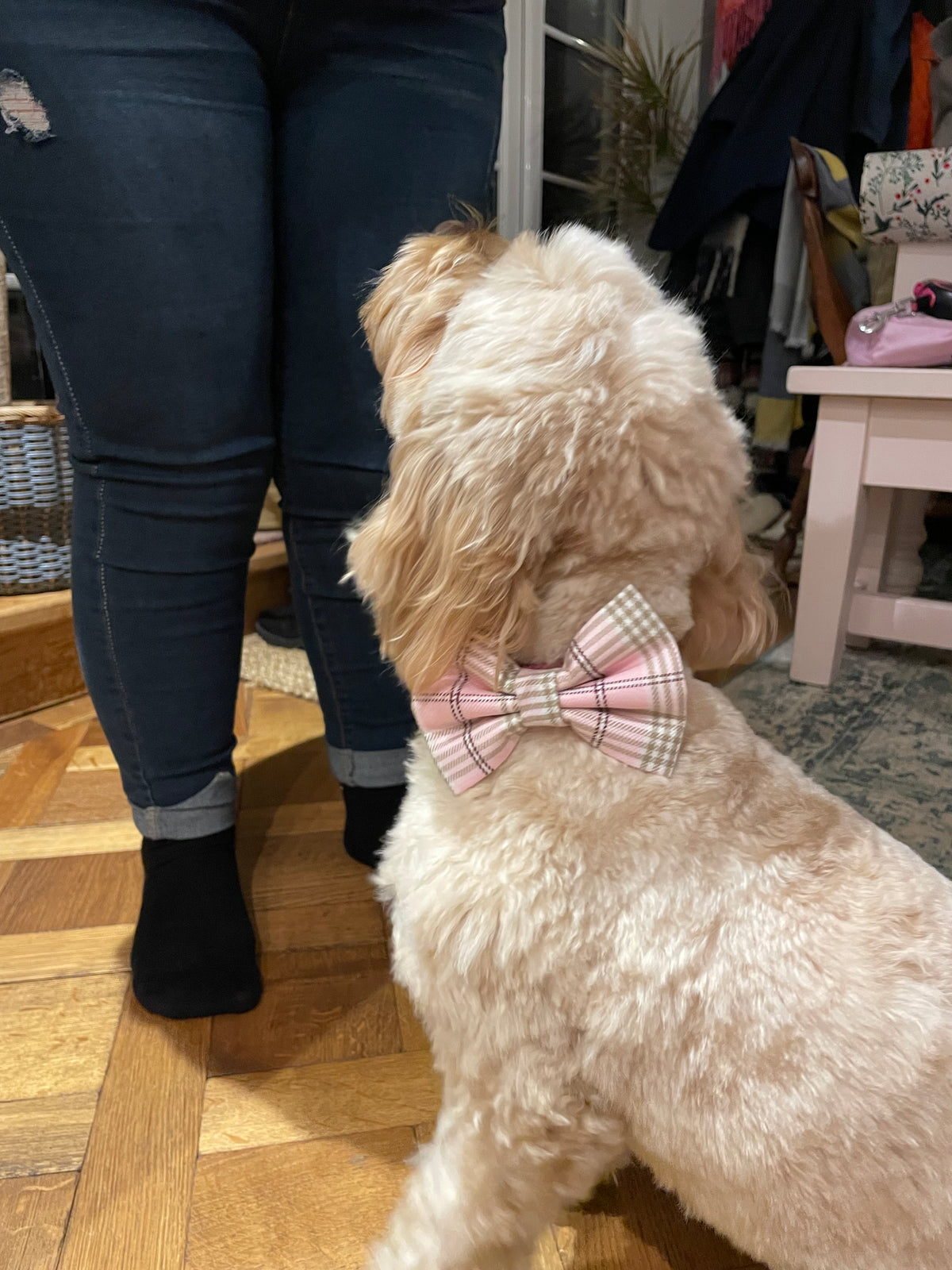 Rodney’s Bowtique Happy Customers ❤️🐾