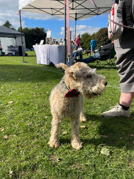 Rodney’s Bowtique Happy Customers ❤️🐾