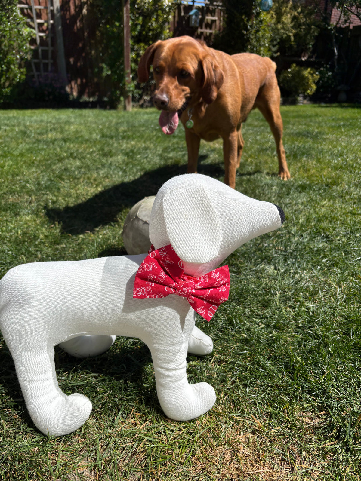 Woof Bow