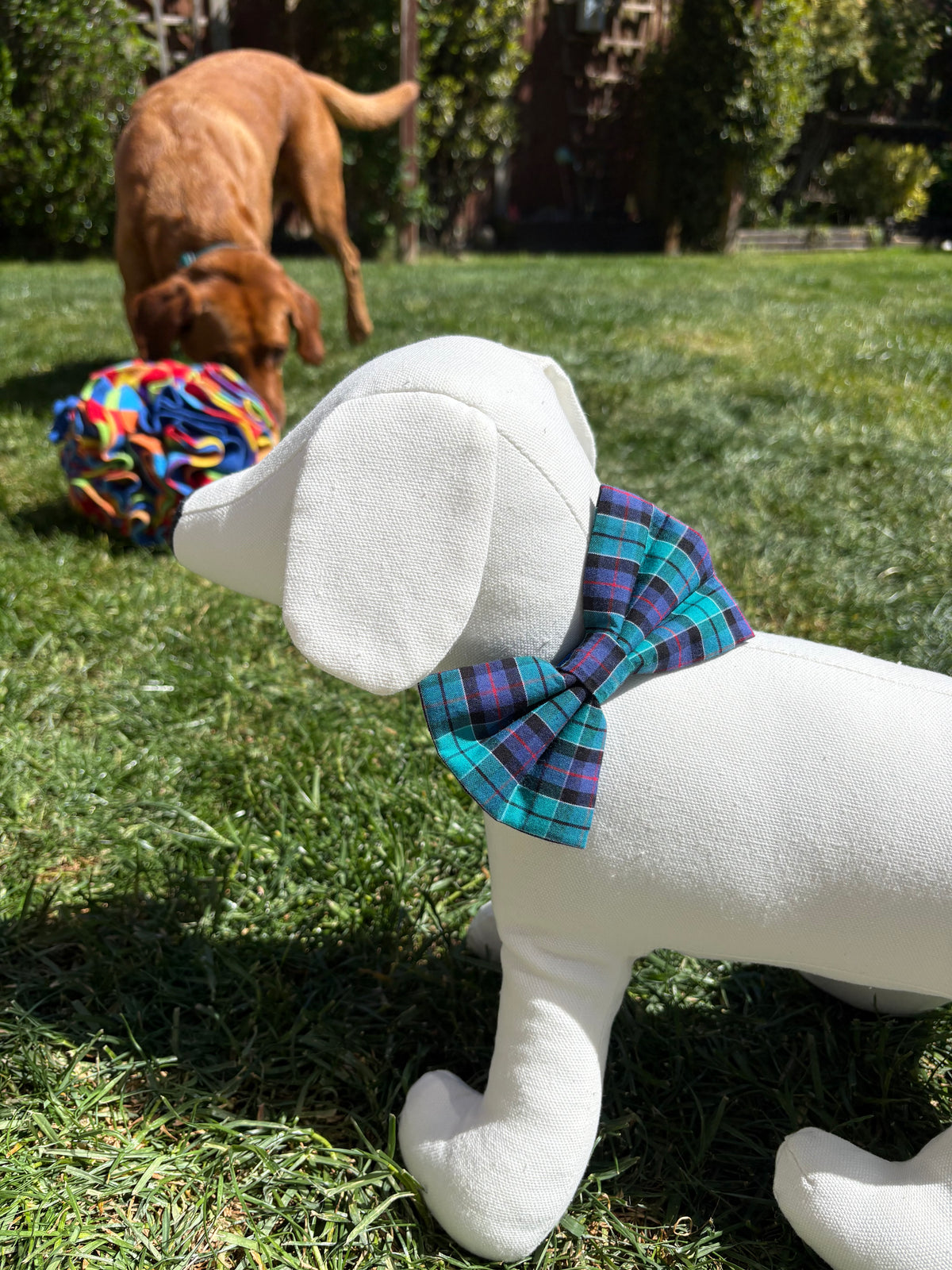 Turquoise Tartan Bow