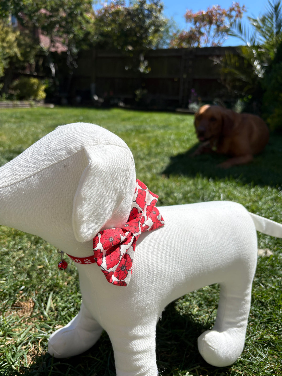 Poppy Bow