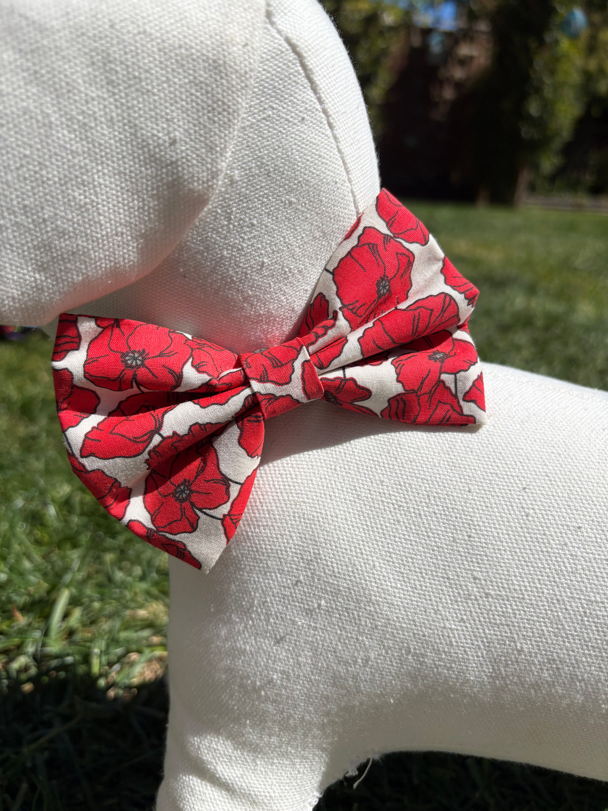 Poppy Bow