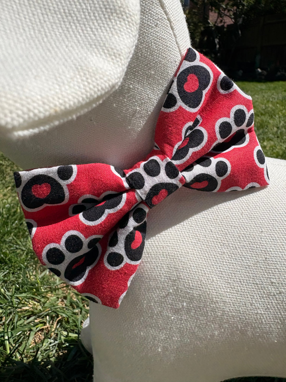 Red Paw Bow