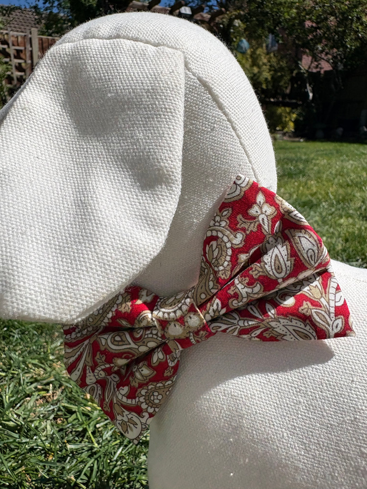 Red Paisley Bow