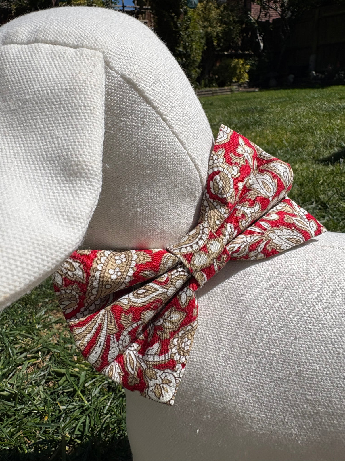 Red Paisley Bow