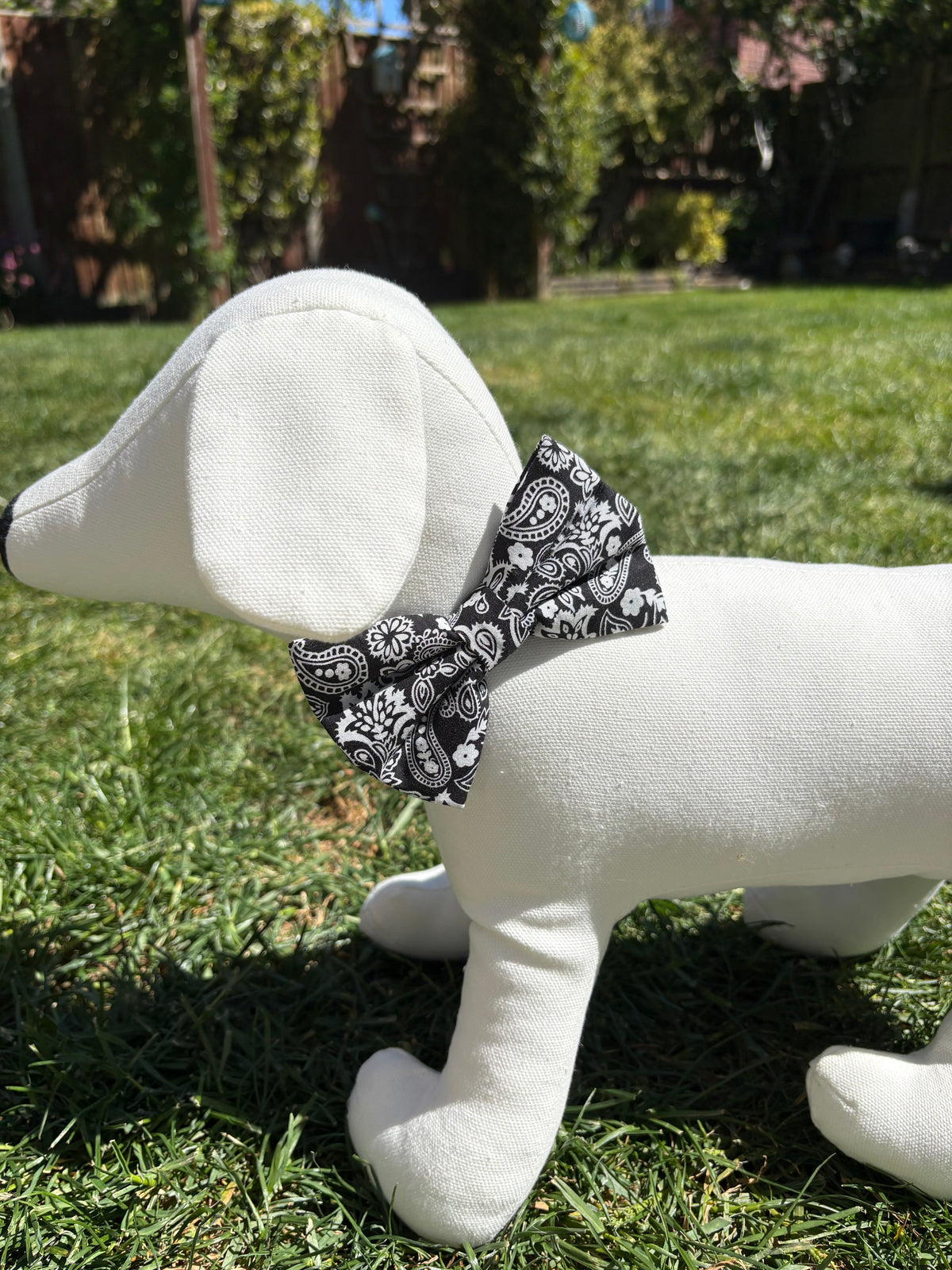 Black & White Paisley Bow