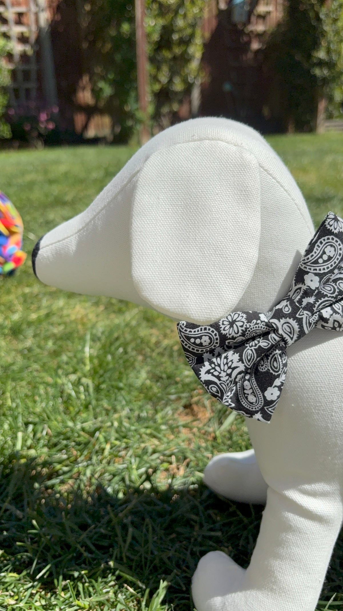Black & White Paisley Bow