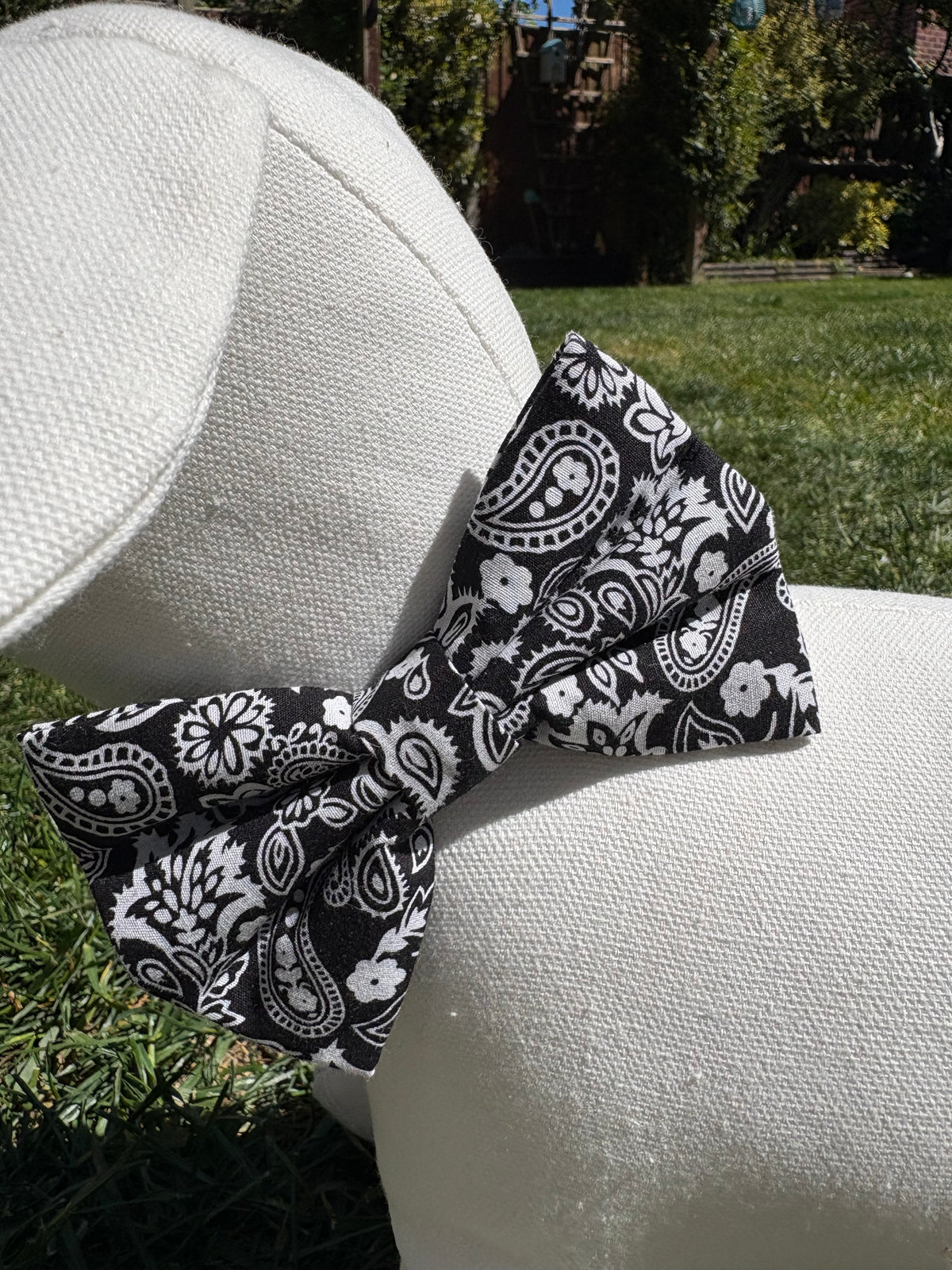 Black & White Paisley Bow