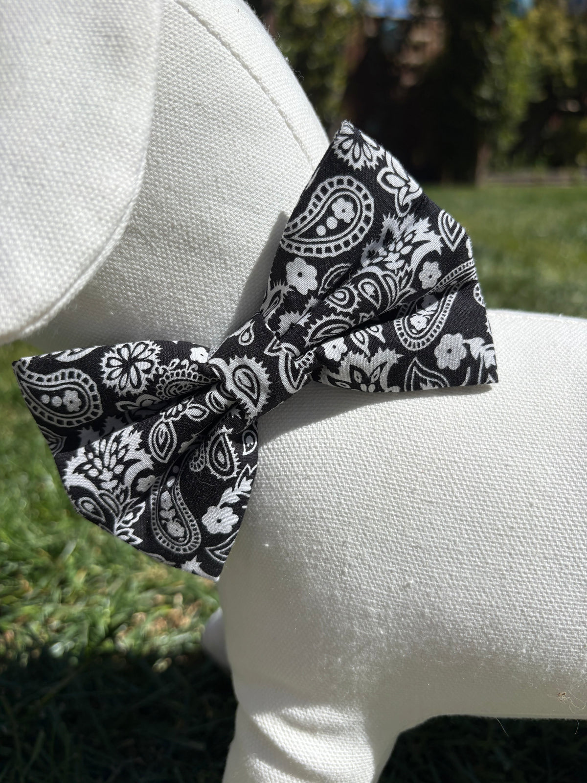 Black & White Paisley Bow