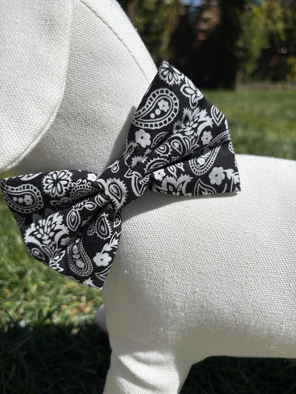 Black & White Paisley Bow