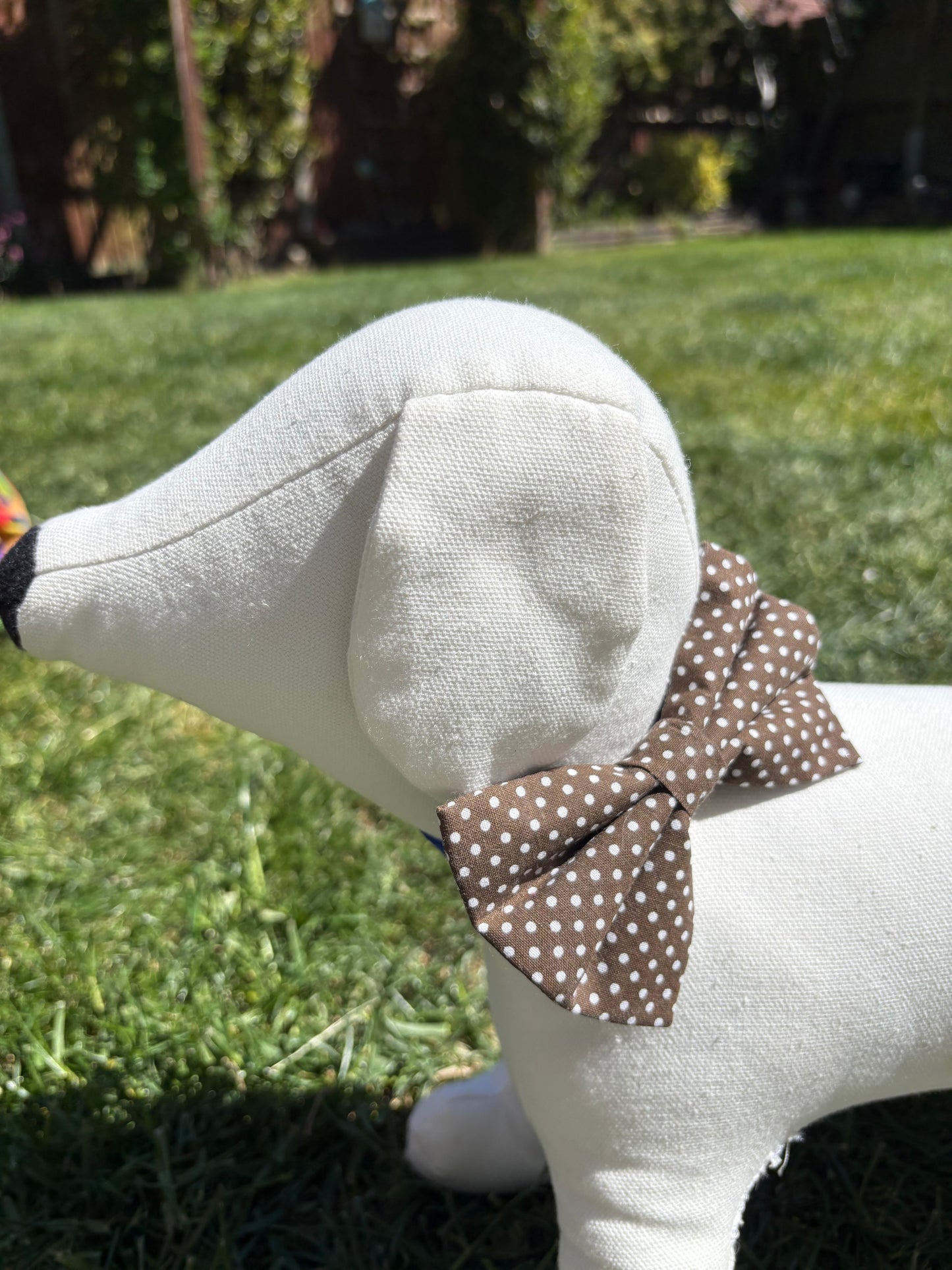 Brown Poka Dot Bow