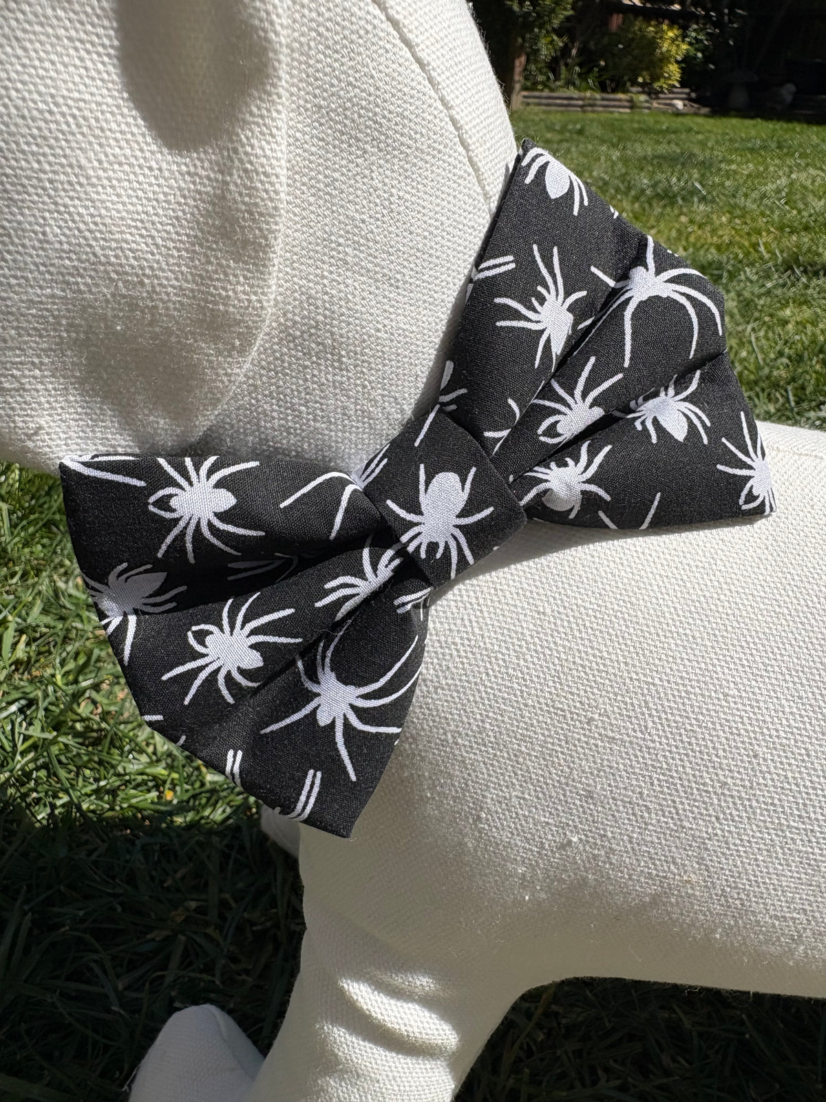 Spider Bow