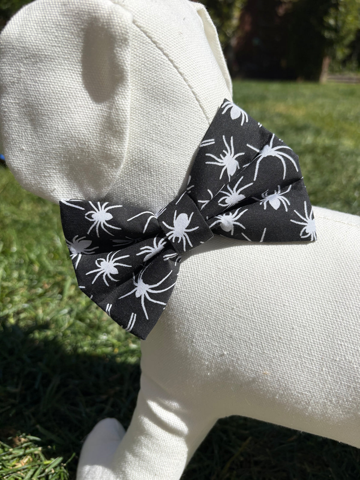 Spider Bow