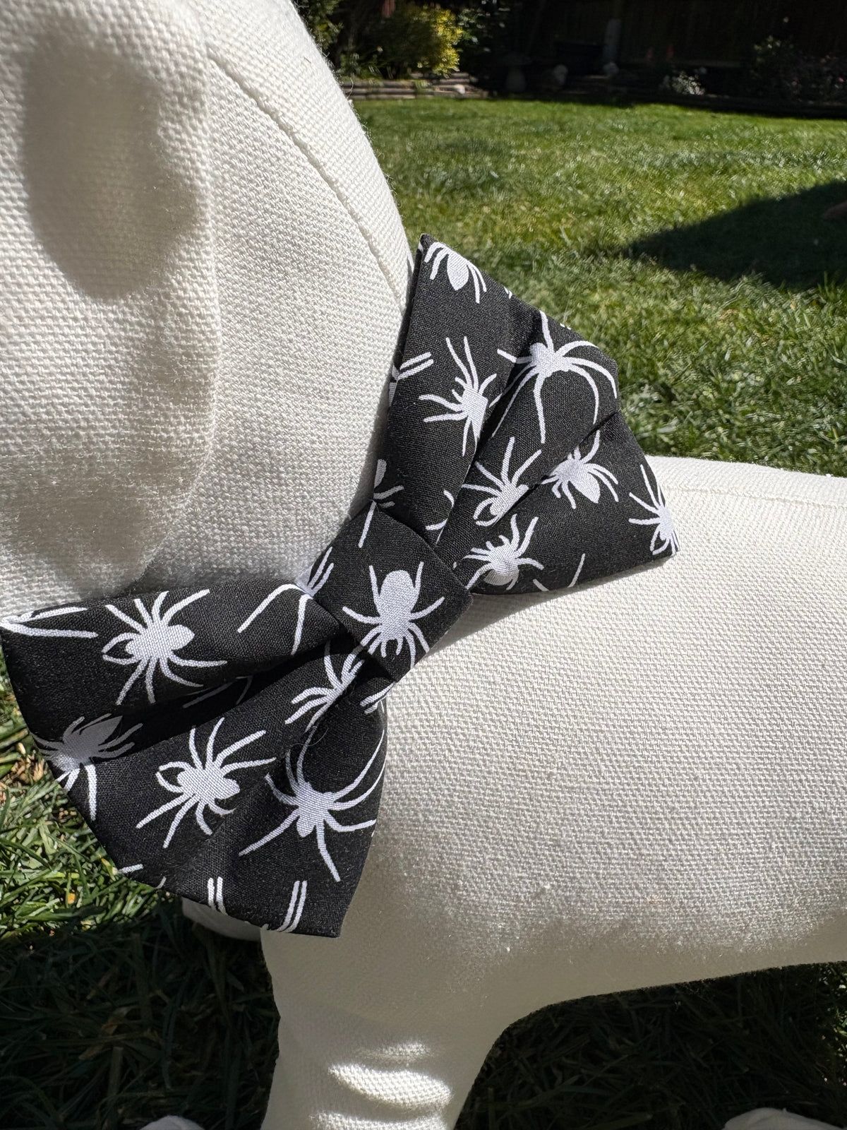 Spider Bow